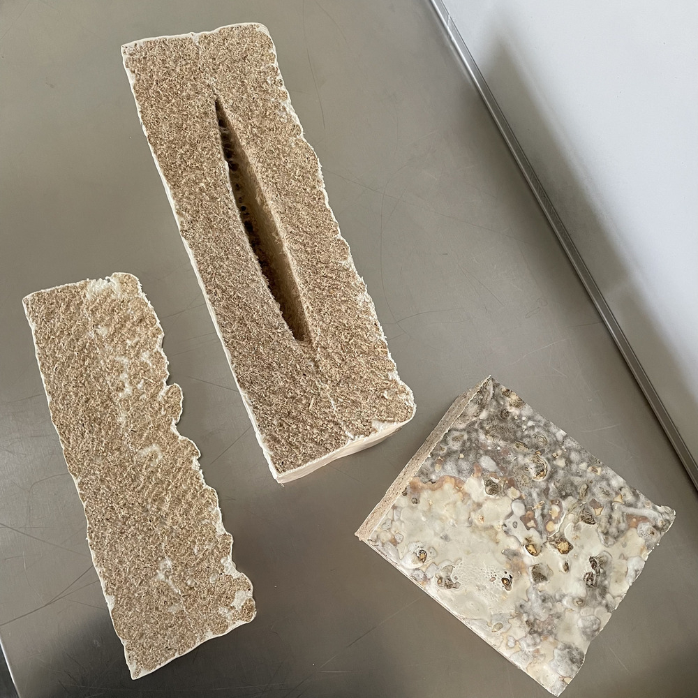 Vật liệu sợi nấm - Tương lai cho sự phát triển của nhà ở 1 Vat Lieu Soi Nam Tuong Lai Cho Su Phat Trien Nha O 4